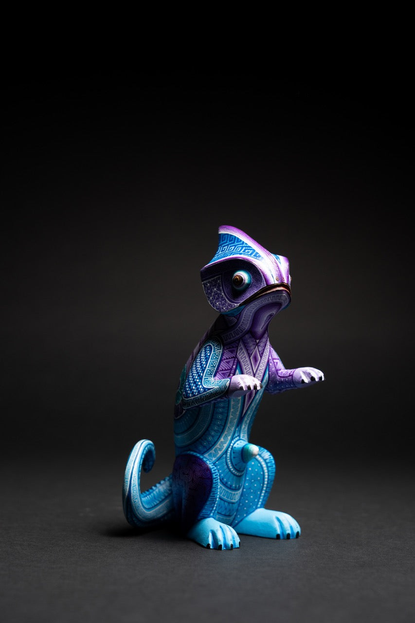 El Chameleon - Xhuba Gallery