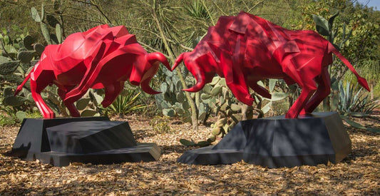 Duelo de Toros - Installation