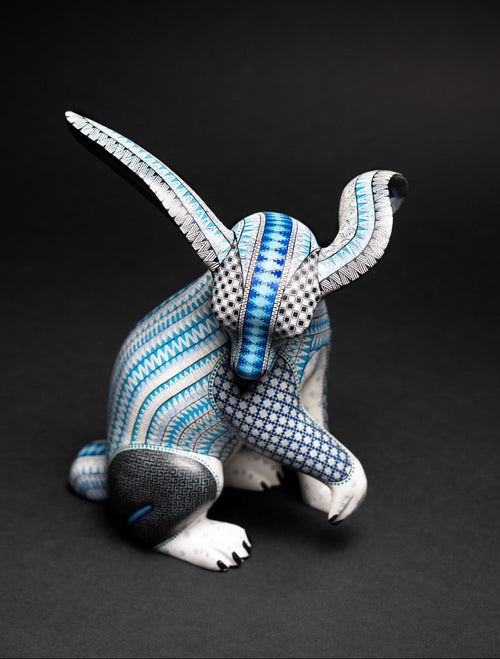 Conejo Blanco – No. 314 - Xhuba Gallery 