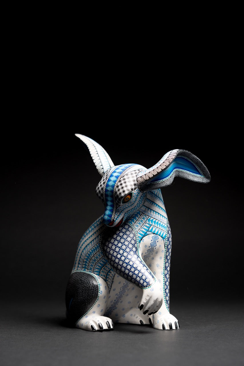 Conejo Blanco – No. 314 - Xhuba Gallery 