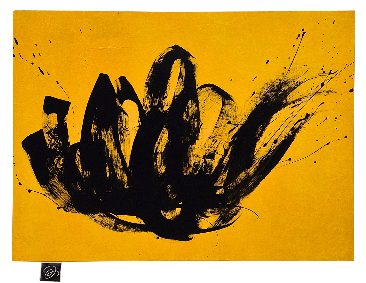 Brasa #2 - Xhuba Gallery 