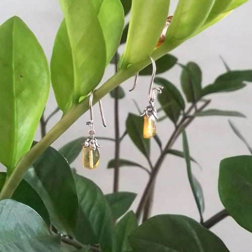 Fruit Earrings - Xhuba Gallery 