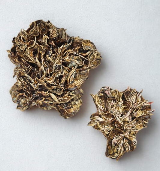 Indian Summers - Xhuba Gallery 